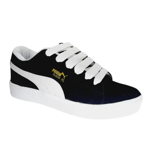 Art:272-Puma